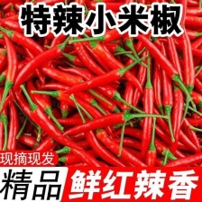 贵州各种辣椒上市