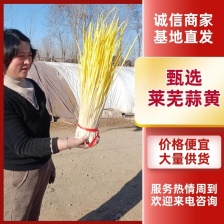 一年四季代收代发朱山蒜黄