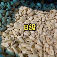 市场老蒜米+市场新蒜米