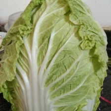 靖远永丰蔬菜购销合作社店