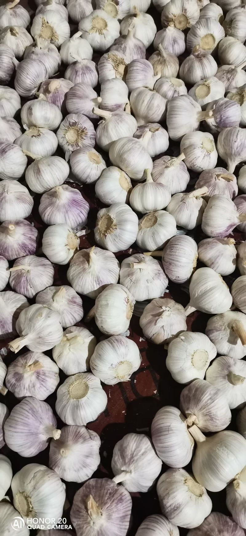 金乡紫皮蒜 紫皮太空蒜 金乡大蒜 承接商超电商外贸加工