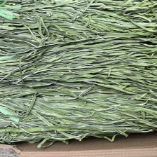 涡阳县耀萱种植合作社