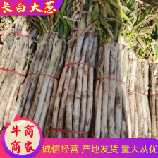 【好货】陕西省合阳大白葱 葱白长50-60公分 欢迎来电