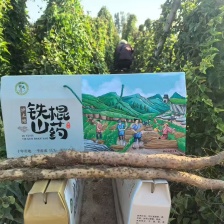 精品温县铁棍山药 大量有货产地直发 可视频看货