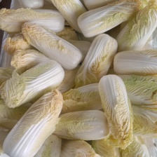 《实力推荐》河南精品娃娃菜，基地直供货源充足，保质保量