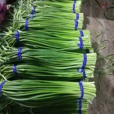 优质白帽/红帽蒜苔，冷库直供，量大从优，各种蔬菜配车