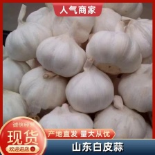 精品云南紫皮蒜2025年新货产地直发农家种植