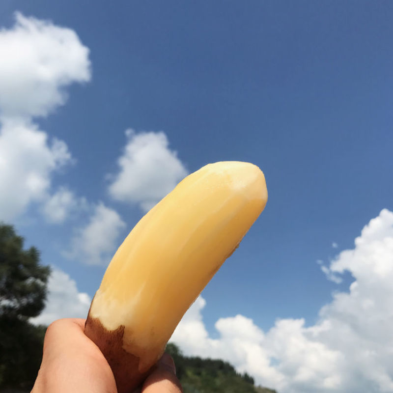 【热销】雪莲果云南天山现挖雪莲果新鲜黄心水果一件代发包邮