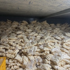 新鲜黄肉木薯黄心木薯