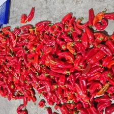 大红椒，红泡椒，芜湖红椒，光椒，安徽红椒大量上市