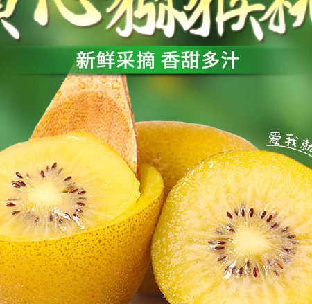 现货一件代发四川蒲江黄心猕猴桃奇异果当季时令水果供电商
