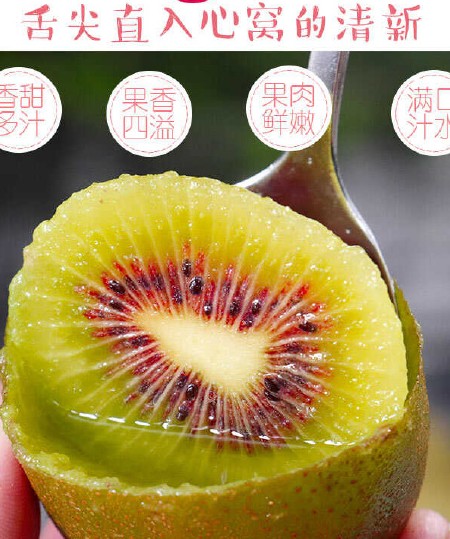 一件代发现货四川蒲江红心猕猴桃现摘新鲜奇异果多规格红阳猕猴桃