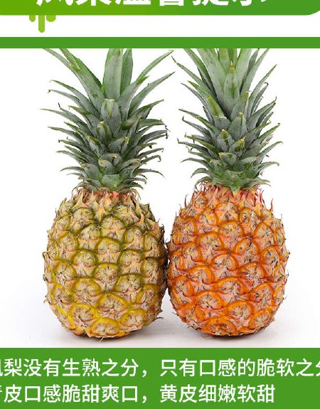 一件代发海南金钻凤梨当季新鲜热带水果非菠萝供应电商各大平台