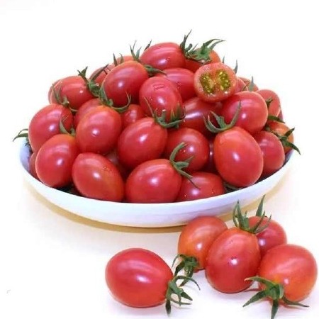 小番茄常规圣女果广西产地整车批发代办、代发一件代发对接平台。