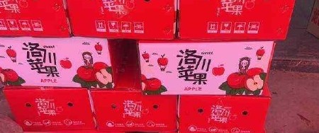 陕西延安洛川苹果原产地直发二级瑕疵果拍5斤送5斤装整箱包邮