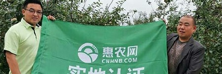 昭通201丑苹果 产地直发冰糖心丑苹果10斤净重 （箱