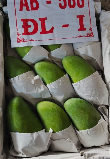 大青芒青金煌芒批发【量大从优】不包邮一件带框60斤可一件代发