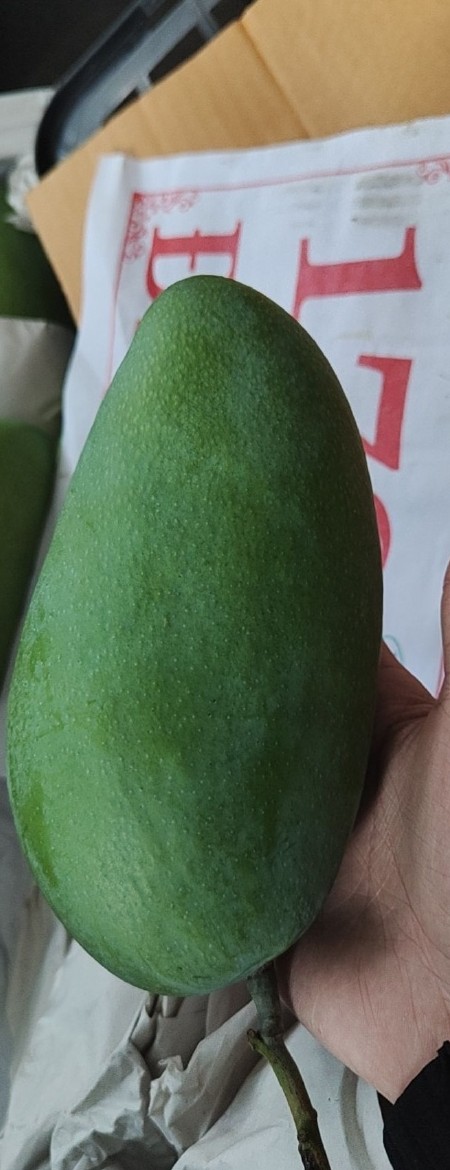 大青芒青金煌芒批发【量大从优】不包邮一件带框60斤可一件代发