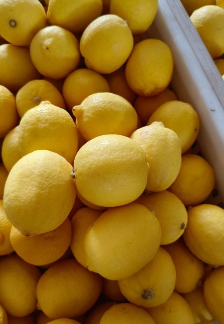 安岳尤力克黄柠檬 果园直销 皮薄多汁 柠檬果香浓郁