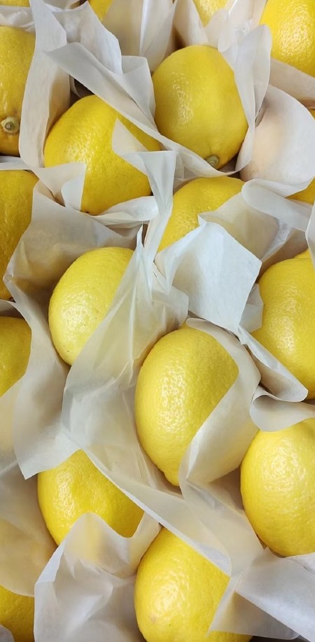 安岳尤力克黄柠檬 果园直销 皮薄多汁 柠檬果香浓郁