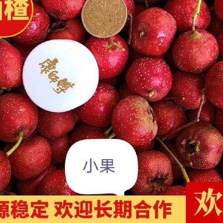 甜红子山楂，产地供应，自家农场，常年供应