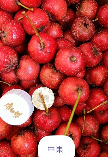 甜红子山楂，产地供应，自家农场，常年供应