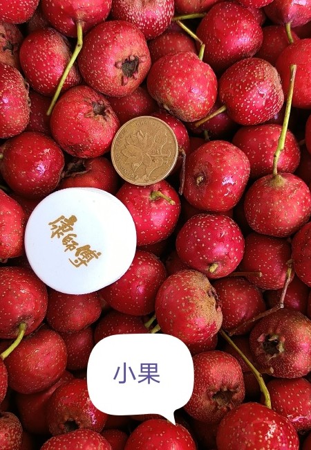 甜红子山楂，产地直供，色泽鲜亮，口感甘甜