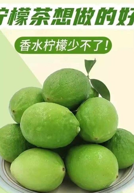 广东香水柠檬爆打柠檬茶新鲜10斤一级香味浓奶茶饮品专用水果