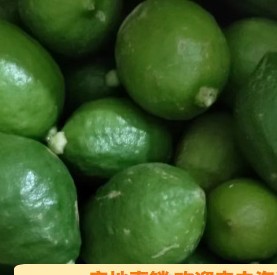 广东香水柠檬爆打柠檬茶新鲜10斤一级香味浓奶茶饮品专用水果