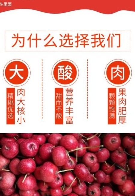 甜红子山楂果！大金星大五棱大棉球！做糖葫芦糖雪球专用！