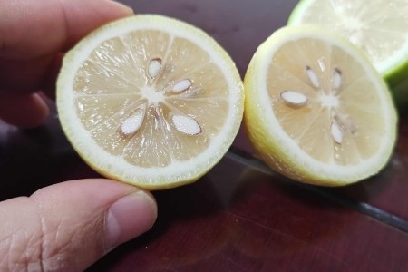 安岳柠檬小果茶叶果现货现发产地直发坏果包赔包邮