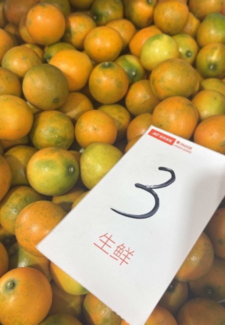 广西融安脆蜜金桔 源头直供。支持各种包装。对接各大市场商超