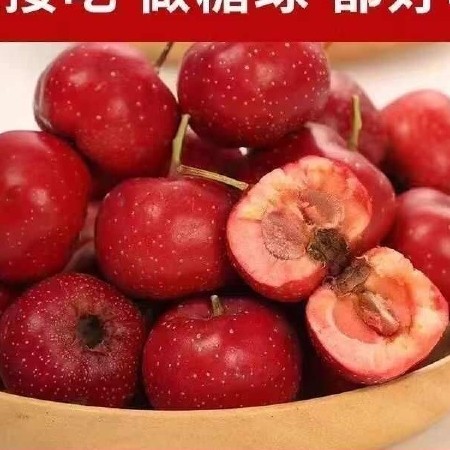 大五棱 山里红山楂果 新鲜山楂 一手货源