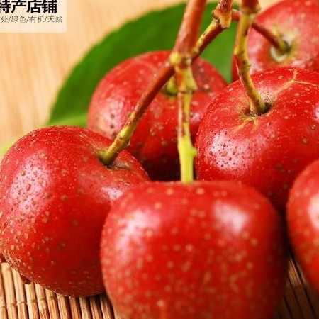 大金星山楂 大五棱甜红子大棉球！ 精品山楂果！适应做糖葫芦