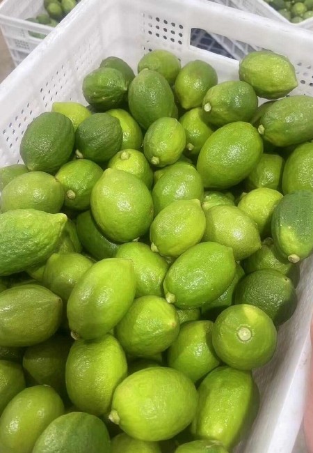 广东香水柠檬对接，电商，品牌，团购，电商一件代发