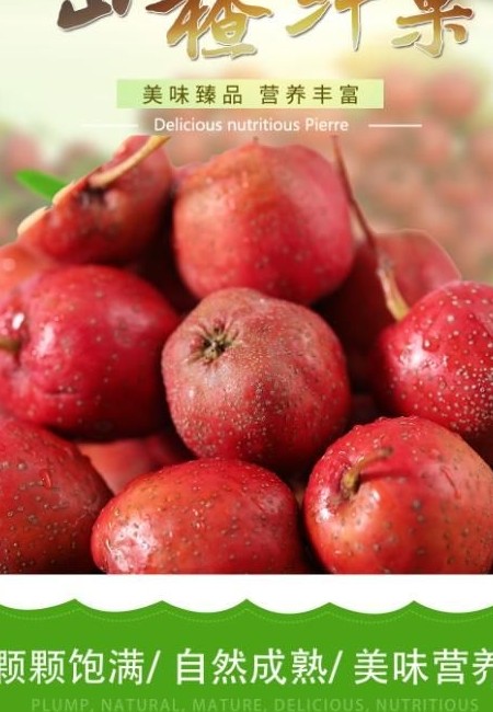 大金星山楂 大五棱山楂果！做糖葫芦糖雪球专用！酸甜爽口！果