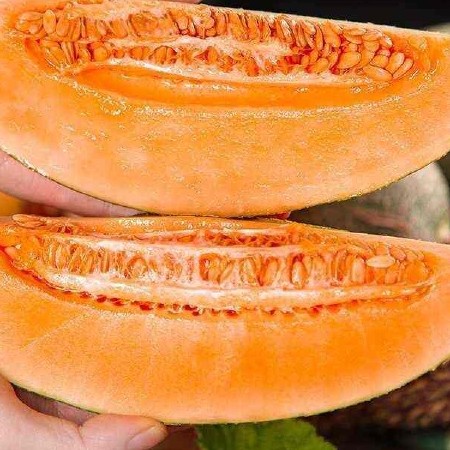 海南哈密瓜，一件代发，对接电商，商超 新鲜瓜果产地直发