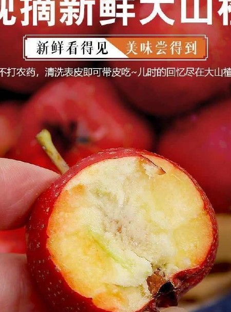 山东甜山楂鲜果甜红子红心甜口小山楂大五楞水果糖雪球专用