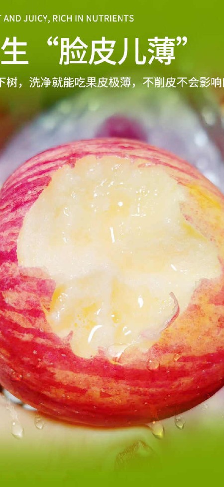 一件代发包邮整箱山东烟台红富士苹果爽脆甜多汁新鲜应季水果