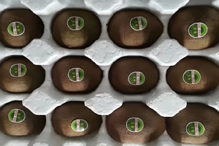 【软糯香甜】眉县绿心徐香猕猴桃品质大果新鲜现摘现发包邮