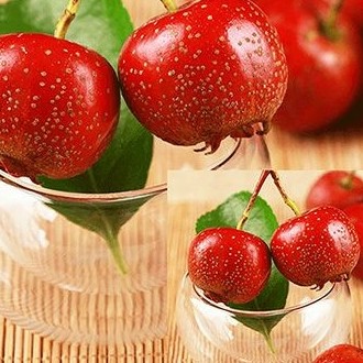 大金星山楂 大五棱！大棉球！甜红子！做糖葫芦糖雪球专用！