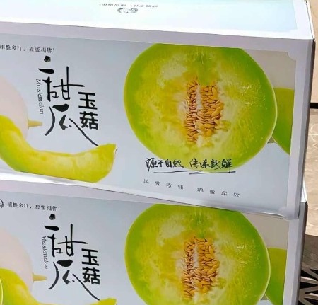 冰淇淋玉菇甜瓜一件代发 对接电商 社团私域 档口商超 直播