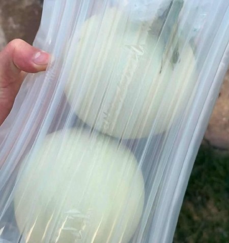 冰淇淋玉菇甜瓜一件代发 对接电商 社团私域 档口商超 直播