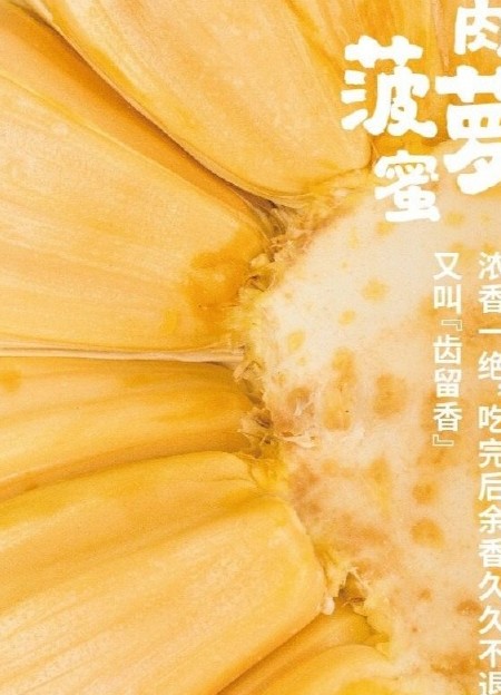 2025年红肉菠萝蜜包邮清脆甜基地直发包邮包售后一件代发