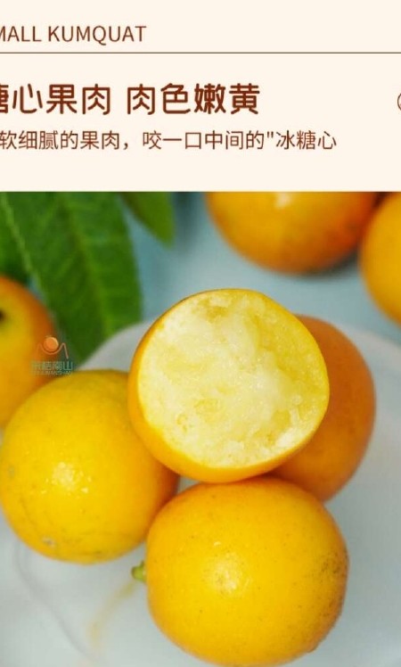 融安滑皮金桔一件代发基地直发广西特产批发社区团购新鲜现摘