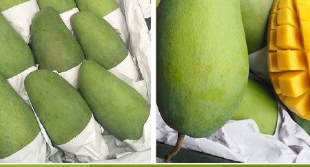 纯甜新鲜包邮到家大青芒 越南，芒果电商对接入口顺滑