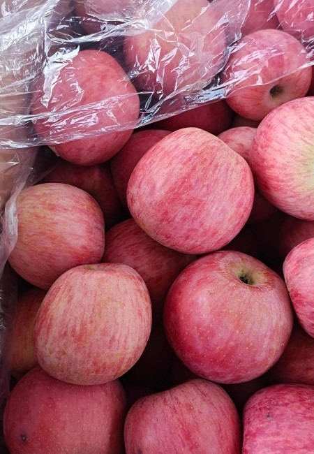 《鲜果上市》苹果 红富士苹果 口感脆甜多汁 产地供应