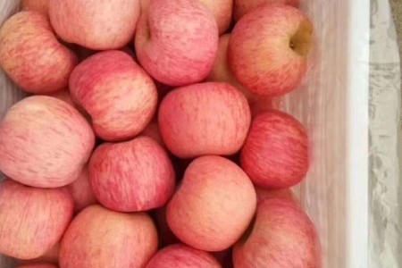 《鲜果上市》苹果 红富士苹果 口感脆甜多汁 产地供应