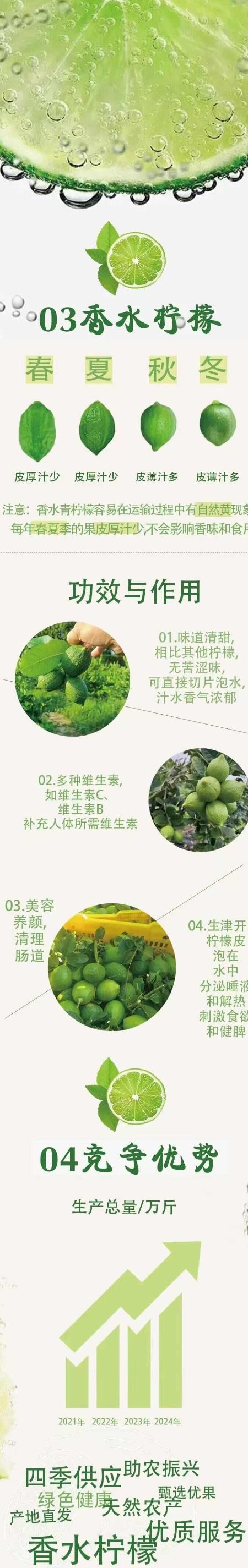 奶茶店专用广东香水柠檬现摘现发全国发货上午摘下午批发价