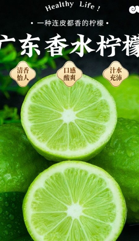 奶茶店专用广东香水柠檬现摘现发全国发货上午摘下午批发价